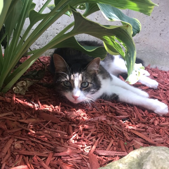 Meet your Posher, Beth - Picture 1 of 1